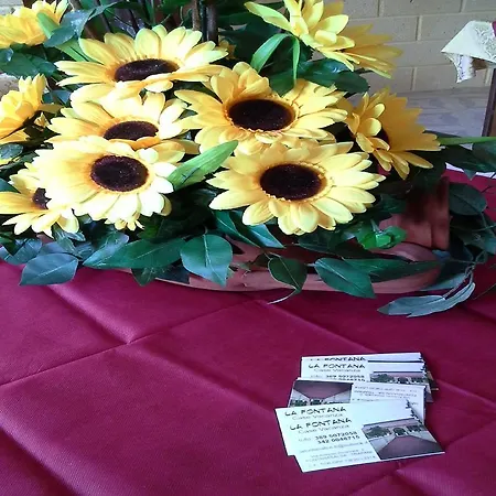 بيت ضيافة Holiday La Fontana تراباني